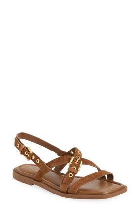 Rag & Bone Harlow Strappy Sandal in Umber Suede at Nordstrom, Size 10.5Us
