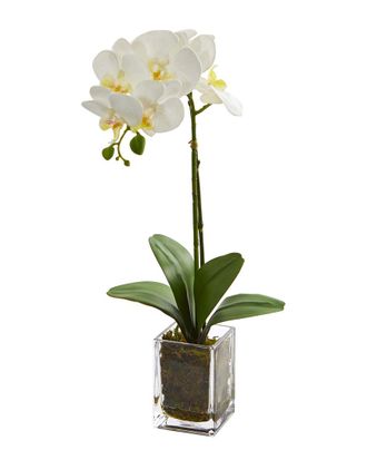 Nearly Natural Orchid Phalaenopsis Artificial Arrangement In Vase
