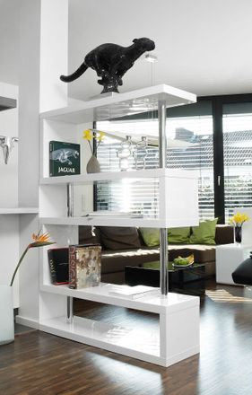 Salesfever Raumteilerregal »Levanto Regal mit Stil« 2-in-1 Raumteiler: Stilvolles Regal mit Hochglanzoberfläche