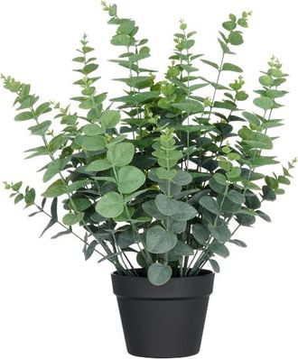 Gasper Kunstpflanzen Eukalyptus im Kunststofftopf H: 60 cm