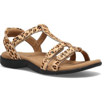 Taos Trophy 2 Sandal in Cheetah Pony Hair at Nordstrom, Size 10