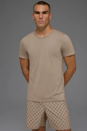 Alo | Triumph T-Shirt in Gravel Beige, Size: Medium