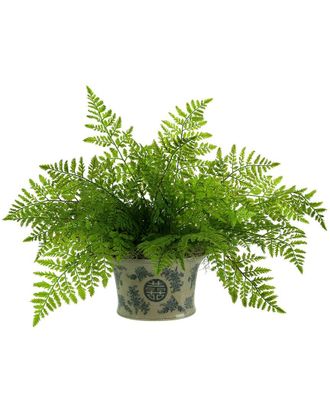 Creative Displays Inc. Fern In Decorative Pot