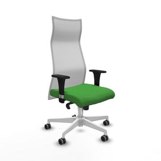 Piqueras y Crespo Silla De Oficina Piqueras Y Crespo B1c026g Verde