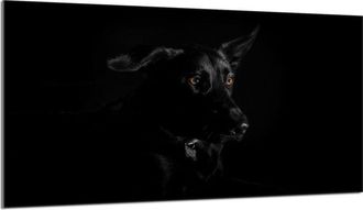 OEM Placa Protectora De Cristal Para Estufa 90x52 Perro