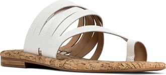 Donald J Pliner Hazie Toe Loop Sandal in Porcelain at Nordstrom, Size 5.5