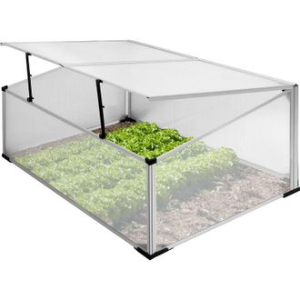 ECD Germany ECD Germany Serra Giardino Orto Mini Serra 100 x 60 x 40 cm per Terrazzo Serra in Telaio di Alluminio e Policarbonato Rezistente ai Raggi UV e alle