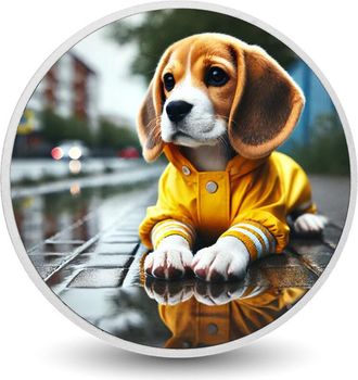 OEM Moneda De Plata De 1 Oz rainy Day Explorer