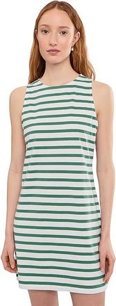 Sanctuary On The Yacht Shift Dress Womens Dress Green Juice/White Stripe : LG (US 10-12), Cotton