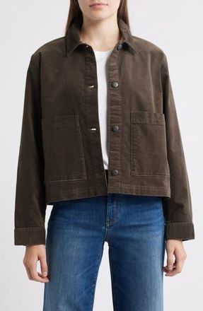 Eileen Fisher Classic Collar Velveteen Jacket in Wren at Nordstrom Rack, Size Large