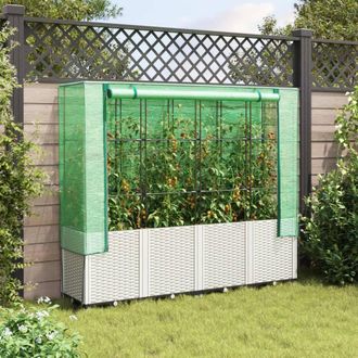 Berkfield Home Raised Bed with Greenhouse Cover Rattan Look 160x40x153 cm in White | Size: 160 x 40 x 153 cm