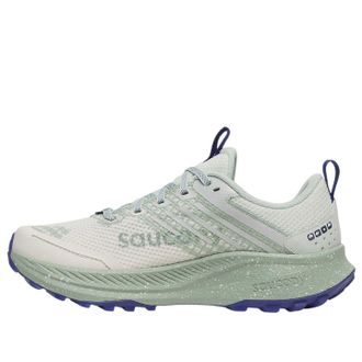 Saucony (WMNS) Saucony Ride TR2 GTX Quartz Mist S10953-260