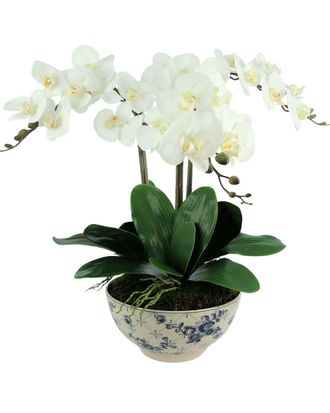Creative Displays Inc. Orchid Arrangement In Decorative Ceramic Pot