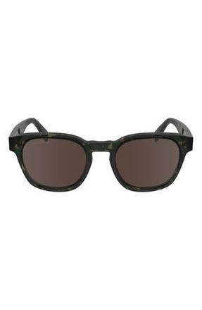 Lacoste Premium Heritage 49mm Rectangular Sunglasses in Dark Havana at Nordstrom Rack