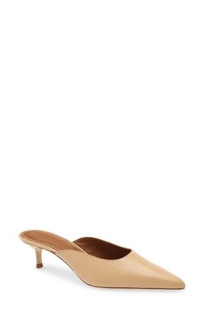 Staud Sebastian Kitten Heel Mule in Porcini at Nordstrom, Size 6.5Us
