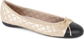 Paul Mayer Attitudes Best Cap Toe Quilted Ballet Flat in Black/Gold Leather at Nordstrom, Size 8.5