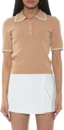 Alexia Admor Collared Knit Short Sleeve Top in Beige at Nordstrom Rack, Size X-Large