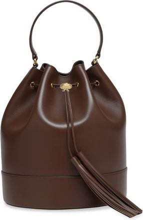 Gianvito Rossi Sienna 22 Crossbody Bag in Brown Calf Leather at Nordstrom, Size Medium