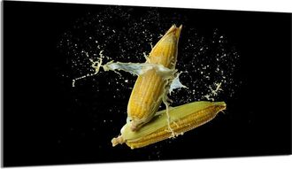 OEM Protector De Vidrio Para Estufa 90x52 Ma&iacute;z