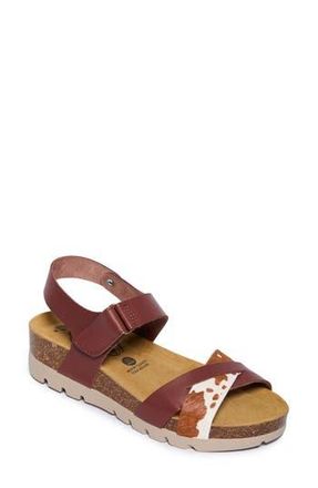 Plakton Camellia Sandal in Pelo Pony Vaquetilla Print at Nordstrom Rack, Size 11Us / 42Eu