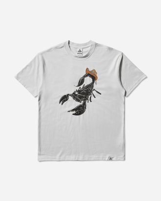 Nike Men s ACG Scorpion T-Shirt Summit White