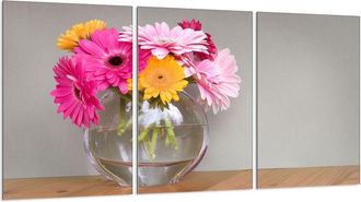 OEM Placa Protectora De Vidrio Para Estufa 3x30x52