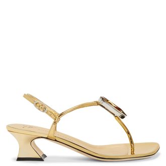 Giuseppe Zanotti Anthonia