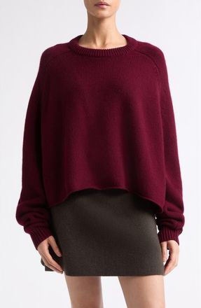 Lisa Yang Karine Oversize Raglan Sleeve Cashmere Sweater in Deep Plum at Nordstrom, Size 2