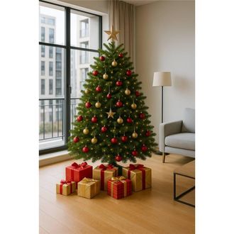 Clifton Premier Nordman Fir Xmas Tree -Low Needle Drop-1.75-2.00m(5.75-6.5ft) in Green