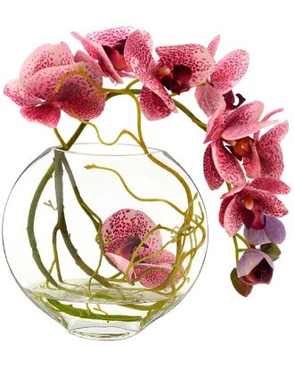 Creative Displays Inc. Yellow & Pink Orchid Floral Arrangement