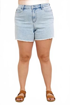 Judy Blue High Waist Mineral Wash Cut-Off Shorts - Plus In Light Stone Wash