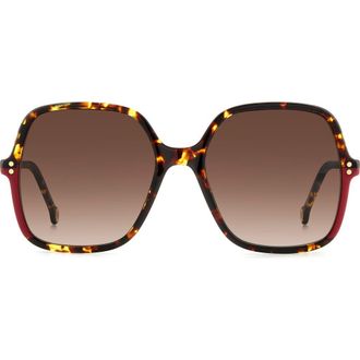 Carolina Herrera 56mm Butterfly Sunglasses in Havana Red at Nordstrom Rack