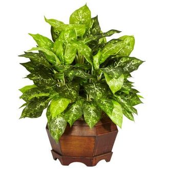 Nearly Natural Variegated Dieffenbachia with Large Hexagon Artificial Plant in Green at Nordstrom