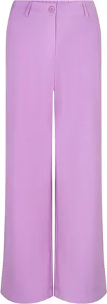 Ydence Ydence, Broeken, Dames, Paars, 2Xl, Polyester, Pants Solange