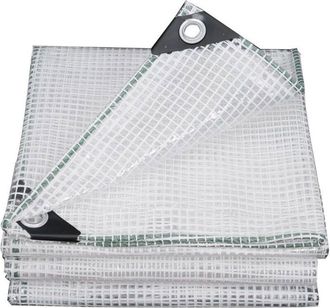 OEM Lona Transparente De 1x3 M, 170 G/m&sup2; - Con Ojales, Para P&eacute;rgolas Y Estructuras De Madera