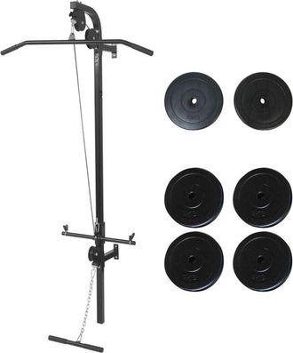 vidaXL Vidaxl M&aacute;quina De Musculaci&oacute;n De Pared Con Discos De Peso 40 Kg