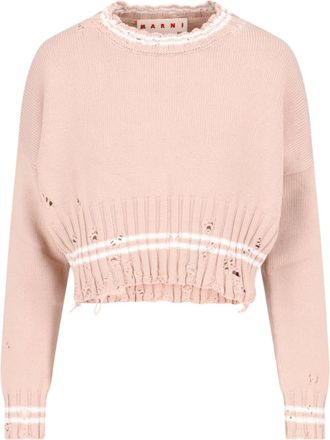 Marni Crop Crew Neck Sweater
