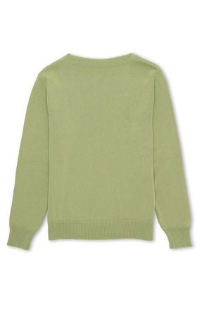 Fortela Noah Cotton Crewneck Sweater in Kiwi at Nordstrom, Size Xx-Large
