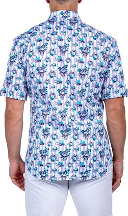 Maceoo Galileo Marthy Short Sleeve Button-Up Shirt in White Blue at Nordstrom, Size 4
