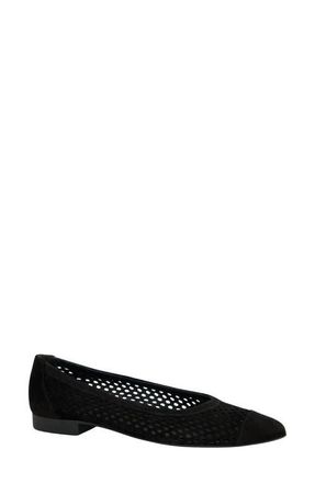 Paul Green Deanna Pointed Cap Toe Flat in Black Suede at Nordstrom, Size 10.5Us