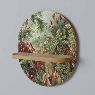 OEM Muscinae Laubmoose Estante Ovalado