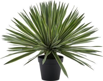 Schubiger M&ouml;bel Kunstpflanze Agave im Topf H: 65 cm