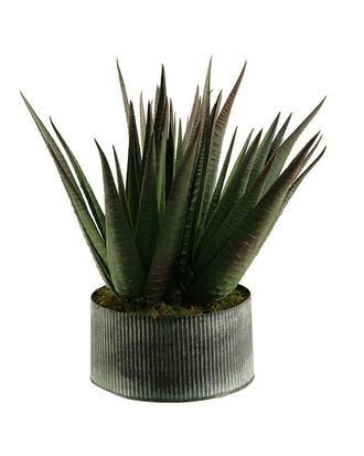 D&W Silks Agave Plant In Round Tin Planter