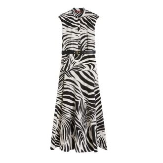 Max Mara Shirt Dresses, female, Multicolor, Size: XS Printed Poplin Shirt Dress