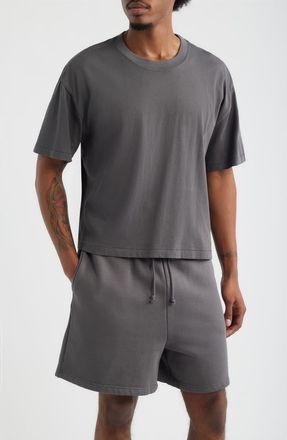 Elwood Crop Hill Tee in Vintage Grey at Nordstrom, Size Xx-Large