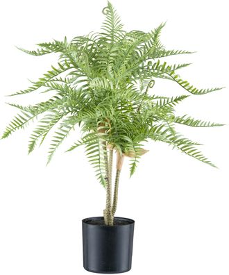 Creativ Green Kunstpflanze