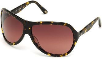 Web Eyewear Brown Plastic Womens Sunglasses