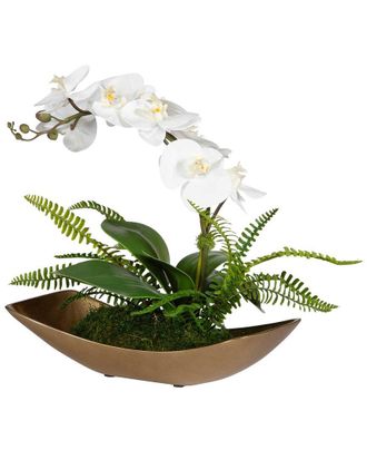 Uttermost Transcend Orchid Centerpiece