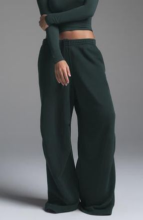 SKIMS Straight Leg Fleece Sweatpants in Cypress at Nordstrom Rack, Size Large