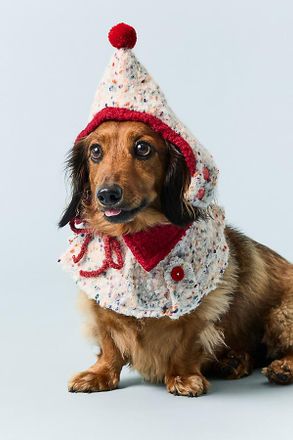 Anthropologie Hat & Bandana Pet Set